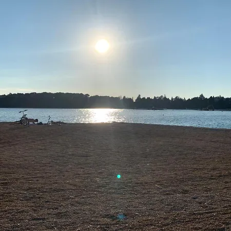 Mobile Joy Porton Biondi