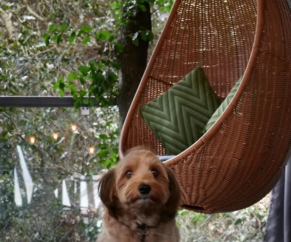 Mobile Joy Porton Biondi Rovinj