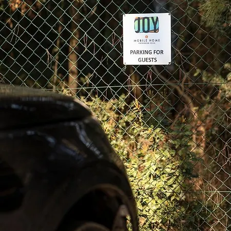 Mobile Joy Porton Biondi רוביני