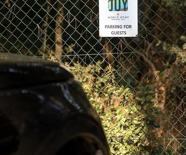 Mobile Joy Porton Biondi 로비니